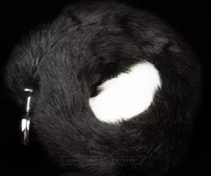 Серебристая анальная пробка с черным хвостом